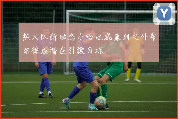 热火队新动态小哈达威康利之外希尔德成潜在引援目标